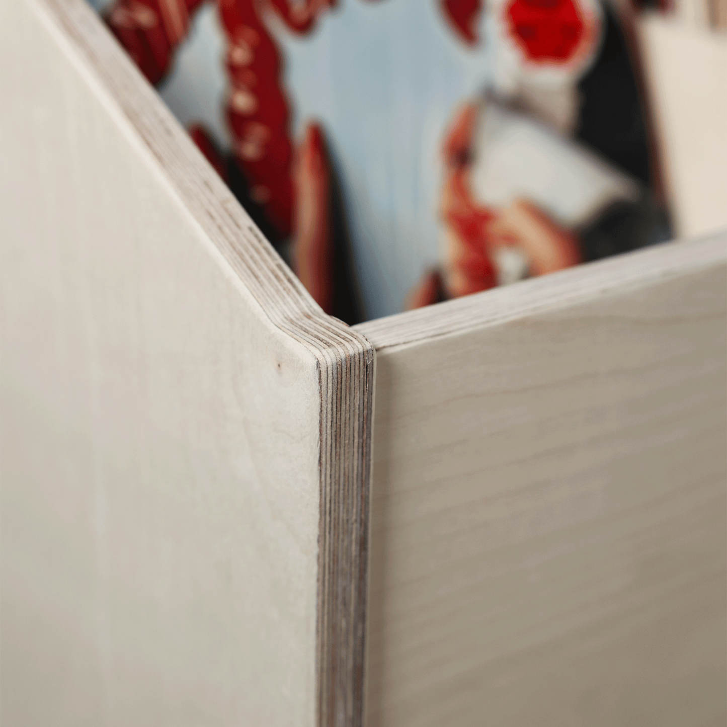 The Ultra Vinyl Record Storage Bin